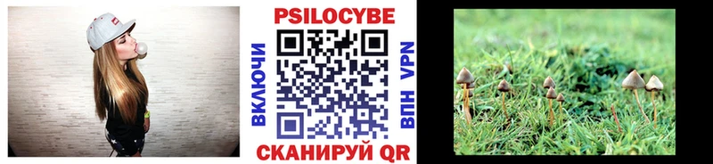 Купить  Белебей  Галлюциногенные грибы Cubensis 